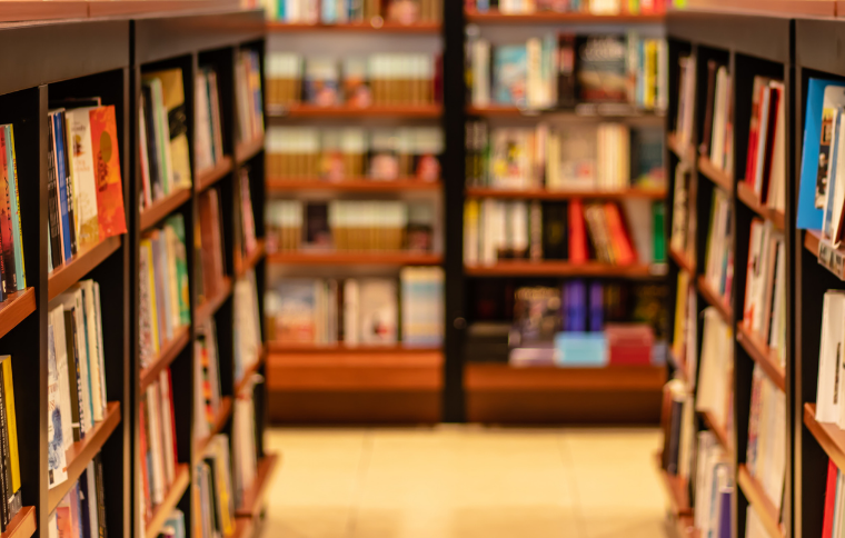 Carf – Franquia e segregação de atividades