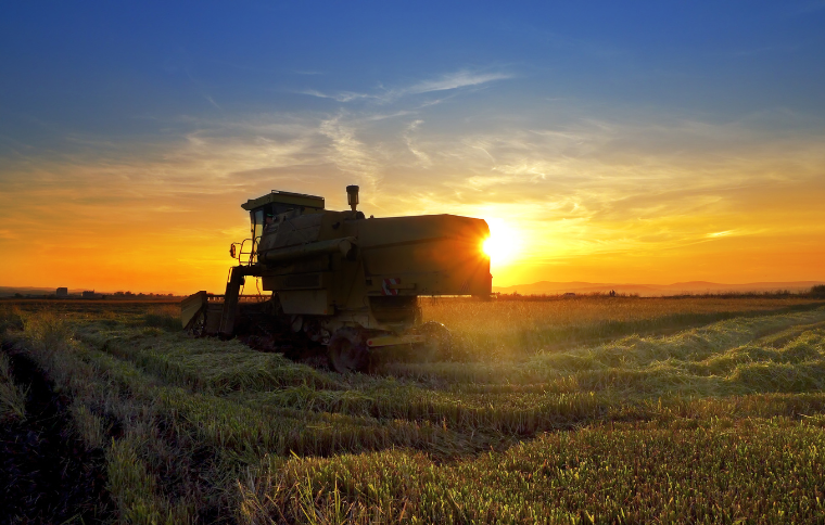 CARF – Agroindústrias exportadoras